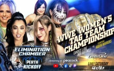 Tag Team Championship Match Added To Elimination Chamber Card